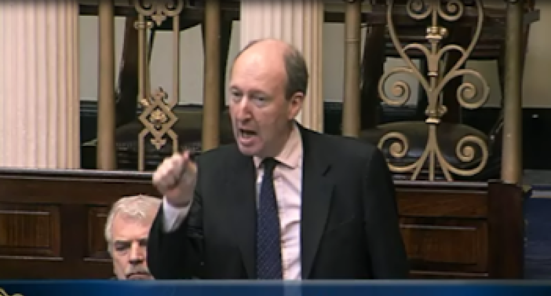 Offaly councillor calls for Shane Ross to resign following Budget 2019