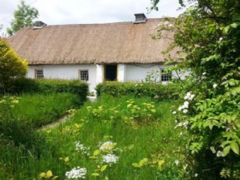 PROPERTY IN FOCUS: Charming  Offaly cottage to go at public auction