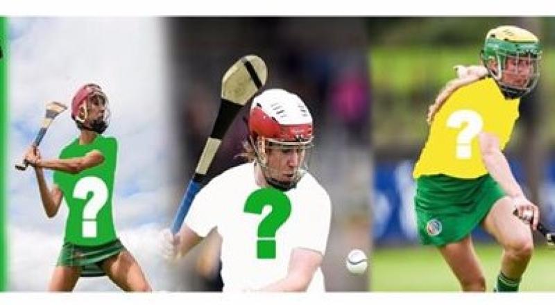Offaly Camogie to launch brand new jersey this week