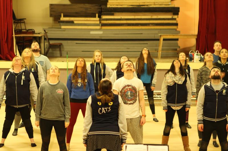 Clara prepares to welcome premiere of 'Cats the Musical' this month