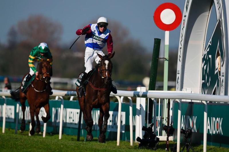 Kilkenny horse wins Grand National