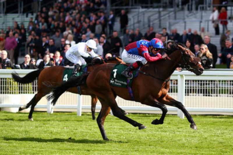 Offaly's Pat Smullen is worth following at Tipperary today
