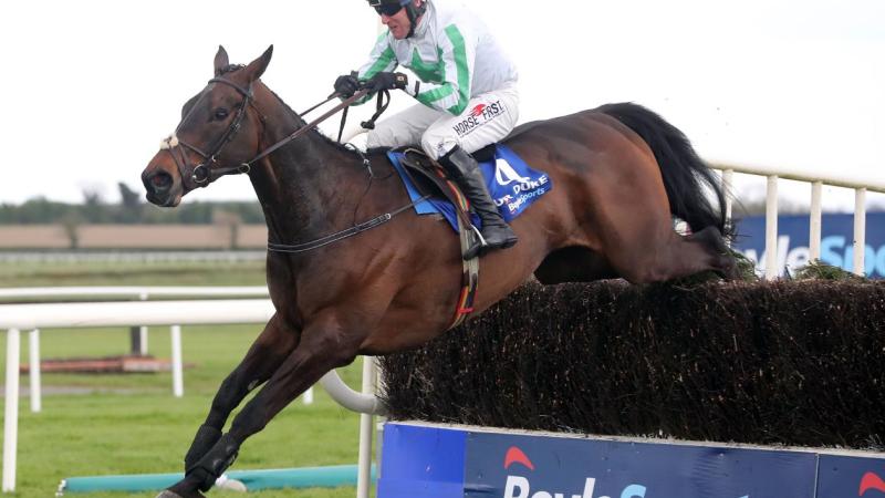 Our Duke wins Irish Grand National for Laois family syndicate