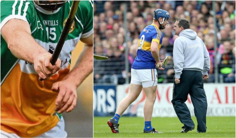 THE SIDELINE MOUTHPIECE: Offaly hurling needs someone like Davy Fitzgerald 