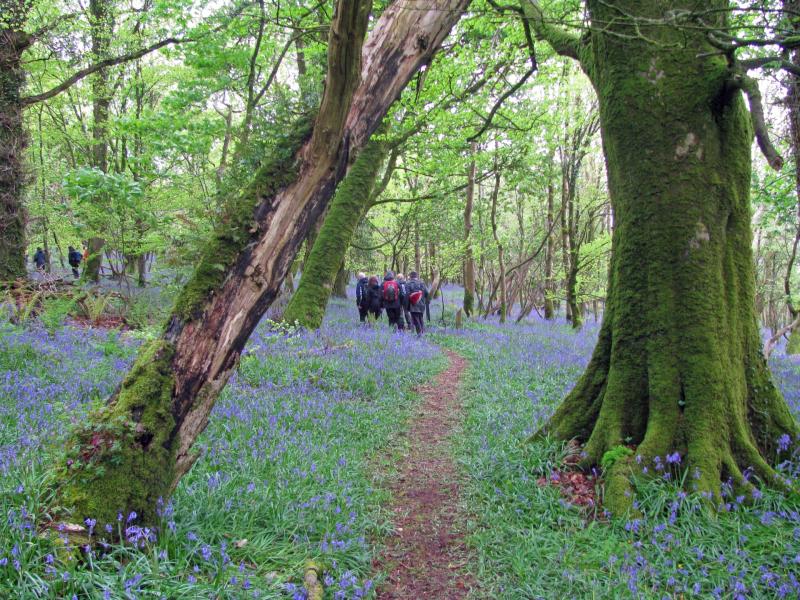 Slieve Bloom Walking Festival to take place in coming weeks  