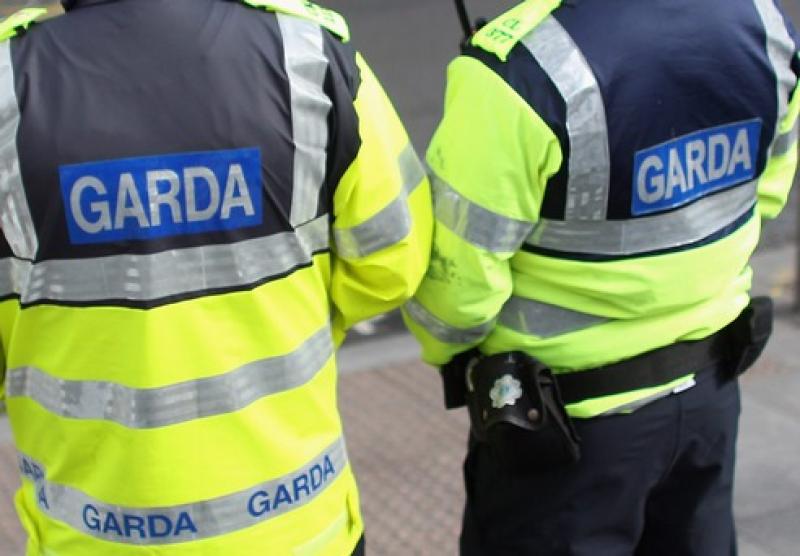  Garda warning issued after dogs kill sheep in Offaly 