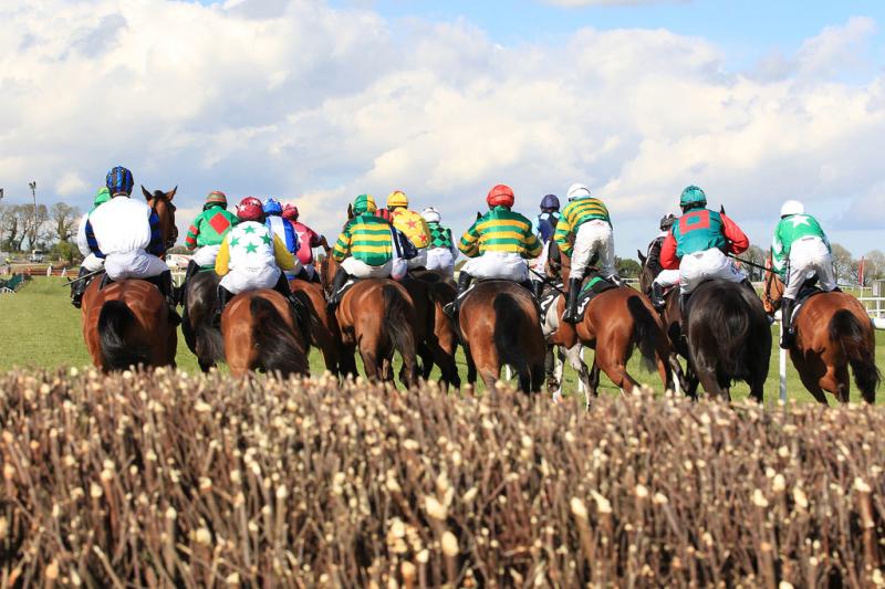 THE PUNTER'S EYE: Four horses to follow at Punchestown this evening