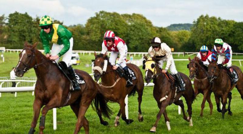WIN: Your chance to pick up FREE tickets to Kilbeggan Races 