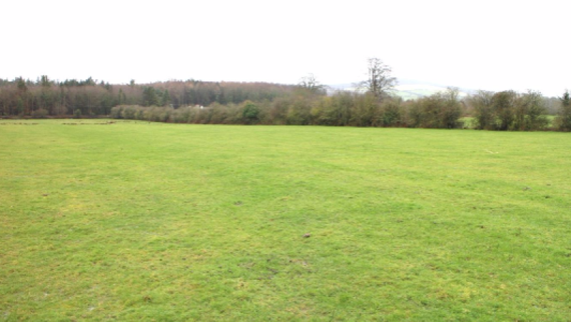 PROPERTY IN FOCUS: Prime Offaly land for sale beside Kinnitty Castle 