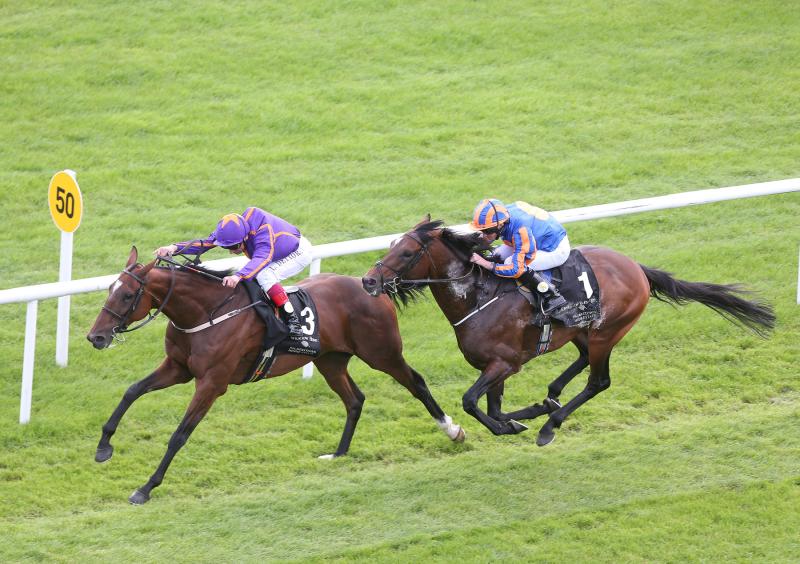 THE PUNTER'S EYE: Four horses that can create 'magic' this weekend