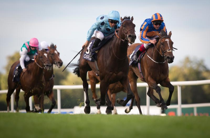 Betting tax increase could see 30 jobs lost in Offaly, industry warns 