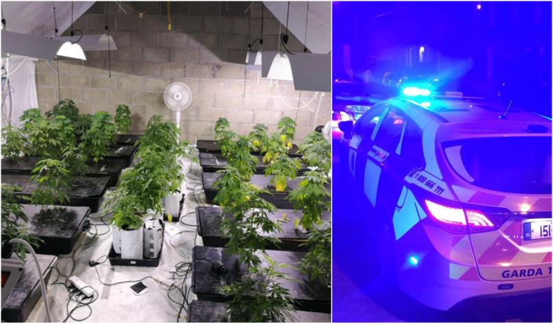 Offaly drugs seizure part of €1.2 million garda hual 