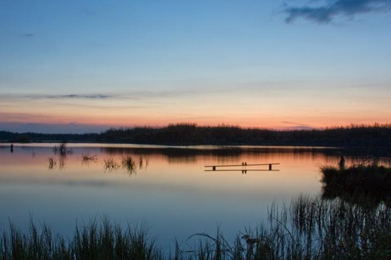 Beautiful Laois lake walk for Port Trail Walking Group anniversary 