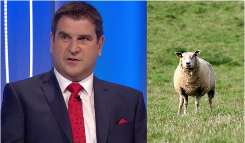 Duignan gets backing from unusual source with views on the GAA's Sky deal  