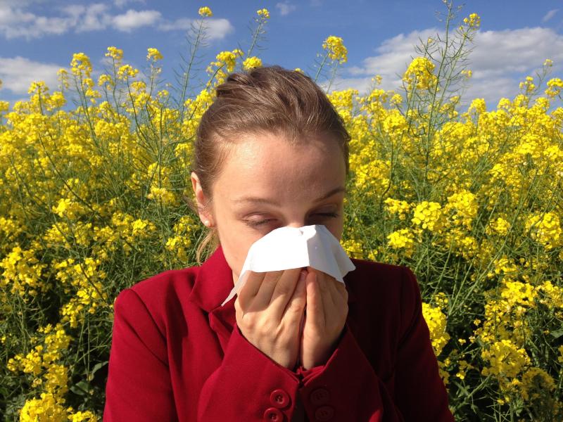 10 tips for dealing with hayfever