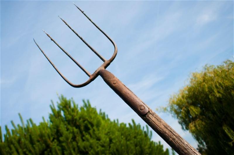Midlands man who threw pitchfork during feud row has sentence cut on appeal