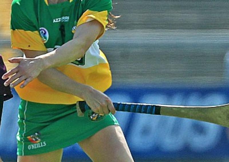 Offaly Camogie