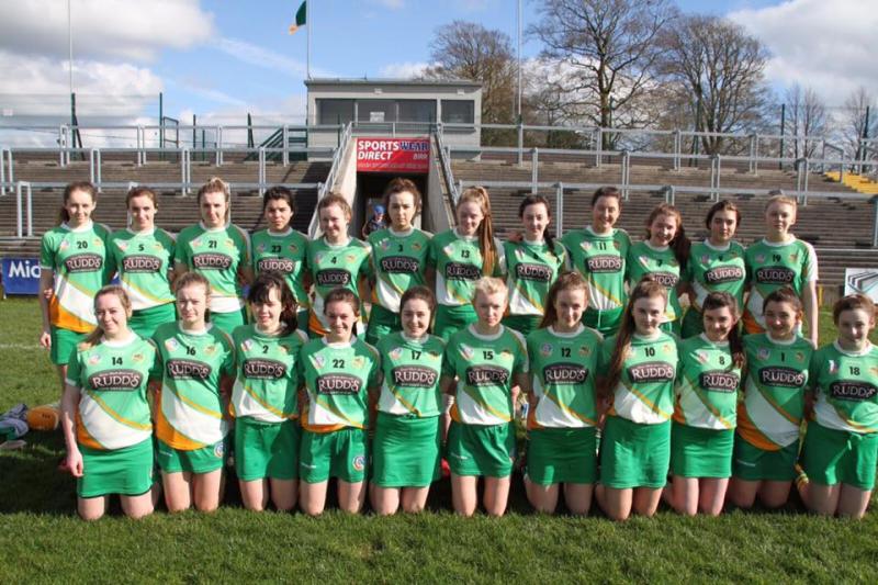 The Offaly Minor Camogie team - 2017
