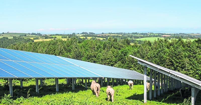 Permission sought for Offaly solar farm