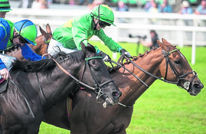 RACING TIPS: Three horses worth backing at Cheltenham this weekend