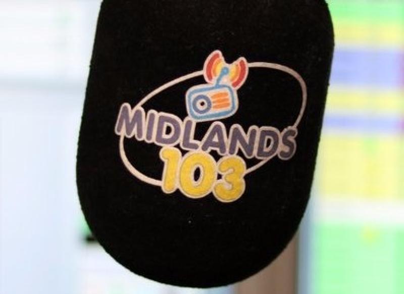 Former Offaly Hurling Review Committee Chairman Liam Hogan calls for Offaly chairman Tommy Byrne to step down