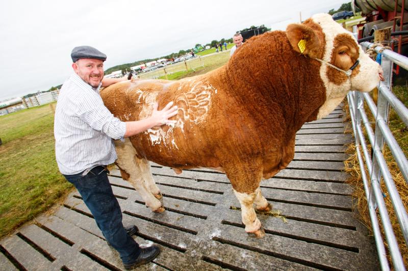 Tullamore Show