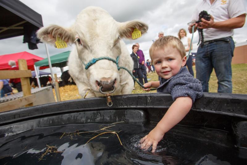A quick guide to this year’s Tullamore Show &  AIB National Livestock Show