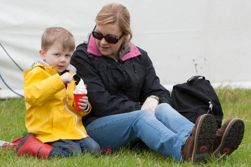 Children will be well catered for at the Tullamore Show