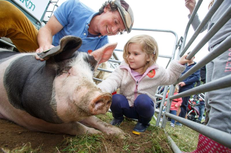 Tullamore Show