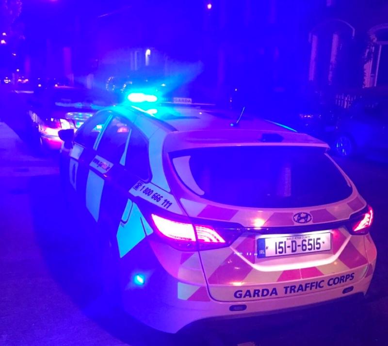 Cocaine, speed and MDMA among drugs seized at Offaly festival 