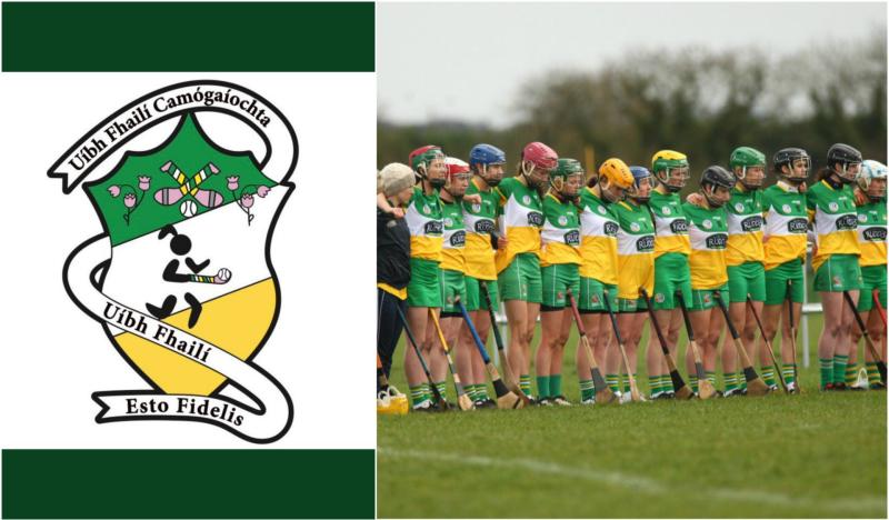 Offaly Camogie unveil brand new crest 