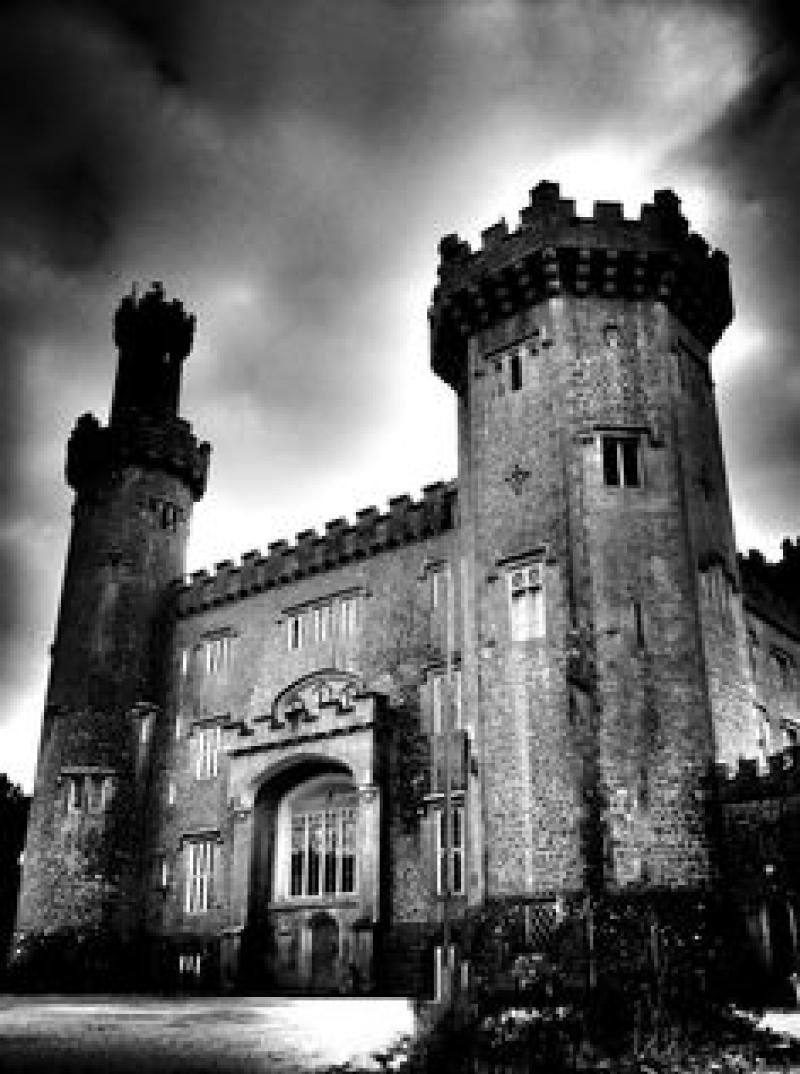 FEATURE: The death of a little girl on the stairs - One Offaly castle's tragic history 