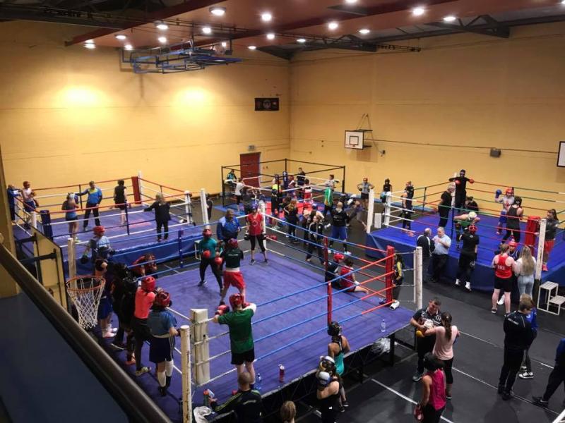 International boxers flock to Offaly for training camp 