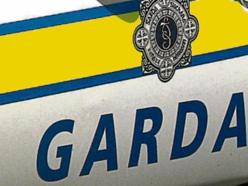 Woman threatened and robbed in popular Offaly park