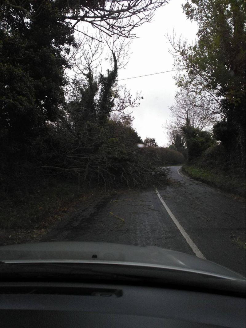 Civic amenity centres reopen in Offaly as council crews continue clean up after Storm Barra