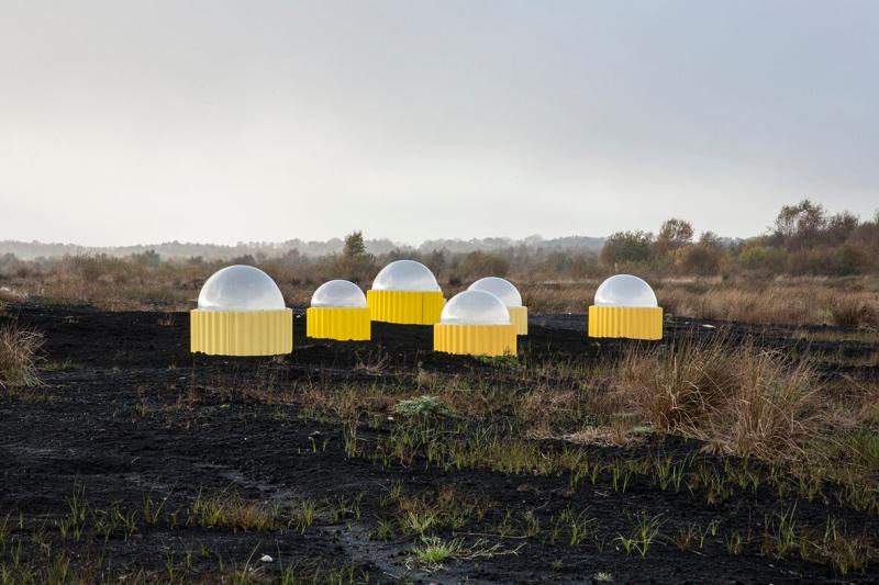 Strange pods turn up on Offaly bog