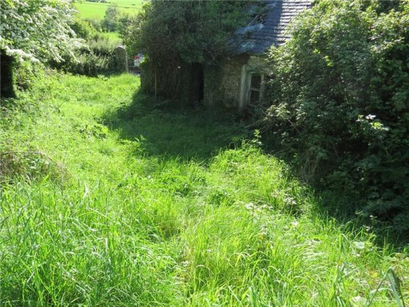 PROPERTY IN FOCUS: Is this the cheapest house money can buy in Offaly?