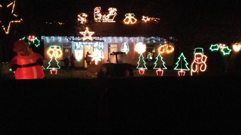 Local family's Christmas lights to raise funds for Irish Cancer Society 