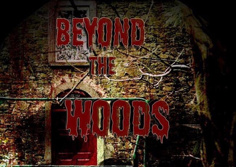 Offaly man's debut feature film set for international release 