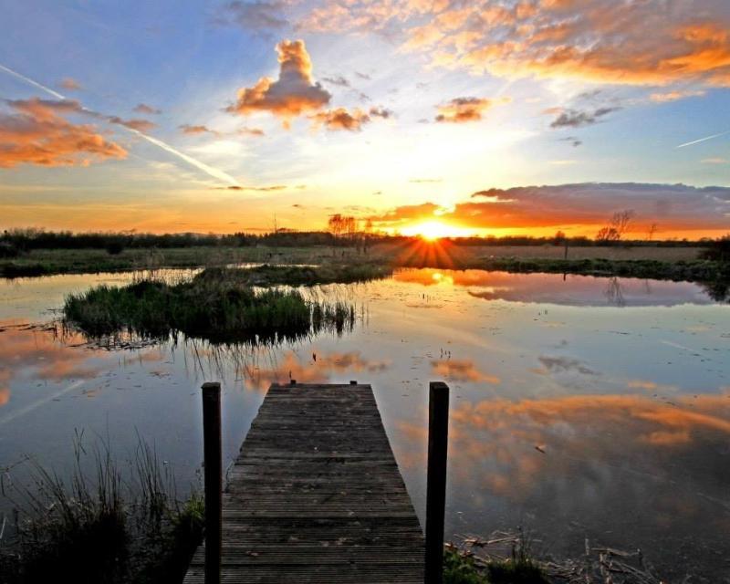 Local people learn about fen restoration at Laois and Offaly community events