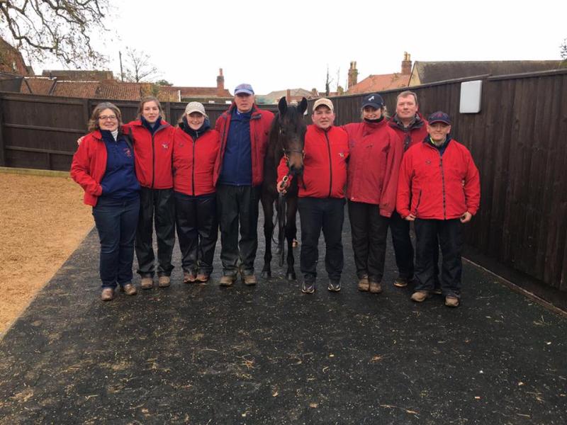 Racehorse bred in Offaly sells for &euro;600,000