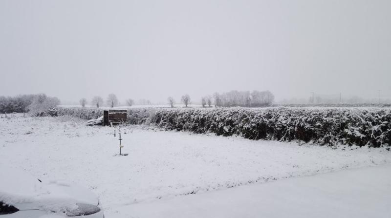 Tips for older people in harsh winter weather as Beast from the East approaches 