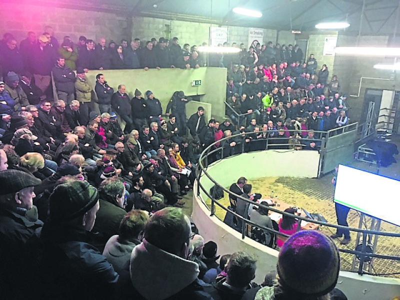 Marts to re-open under strict protocols