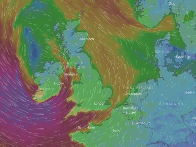 Storm Eleanor brings trees and wires down in Offaly 