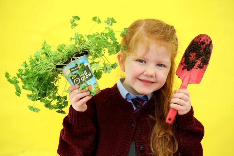 Offaly schools invited to apply for free GIY packs 