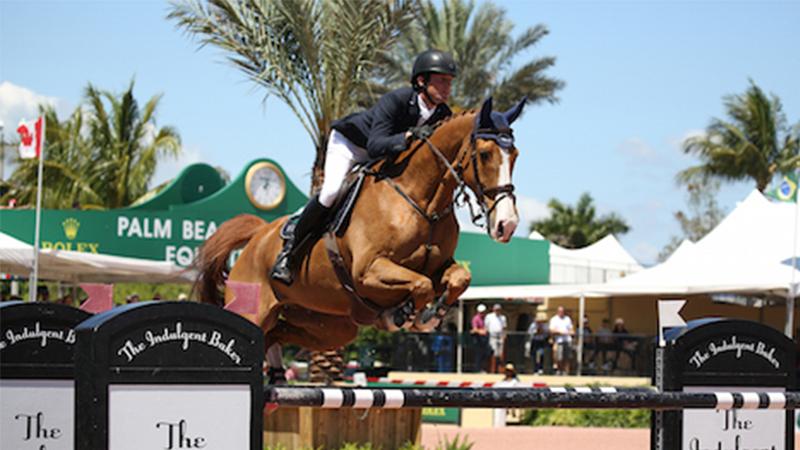 Offaly showjumper wins again and leads Ireland to podium finish 