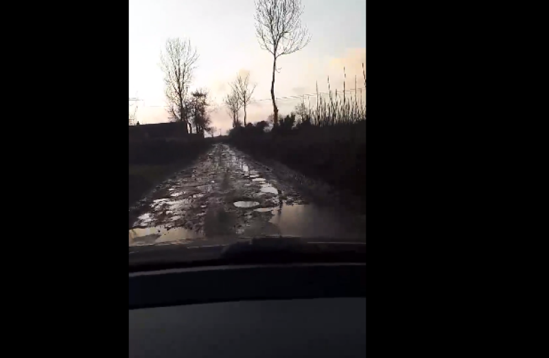 WATCH: Is this road in Killeigh the worst in Offaly?