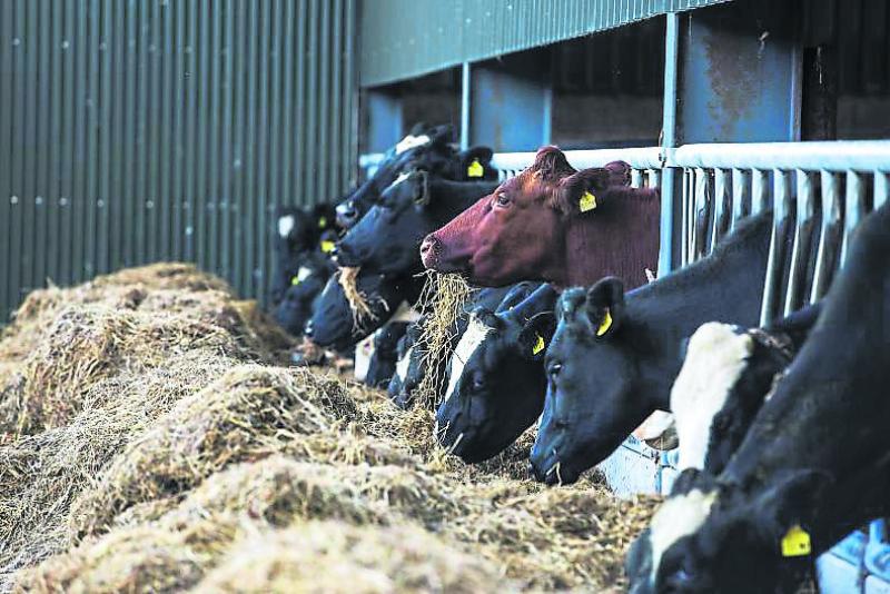 Offaly farmers warned not to miss BPS deadline 