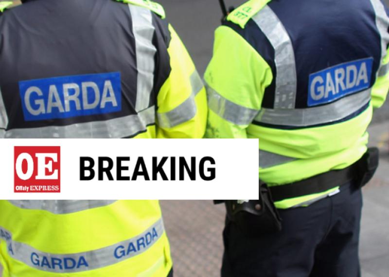 Huge Garda presence in Offaly after serious incident