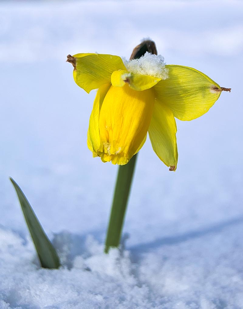 'From Bare Beginnings Comes New Growth' - Emma Coonan's monthly column